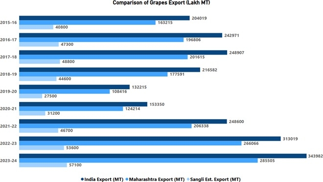  Grapes Export